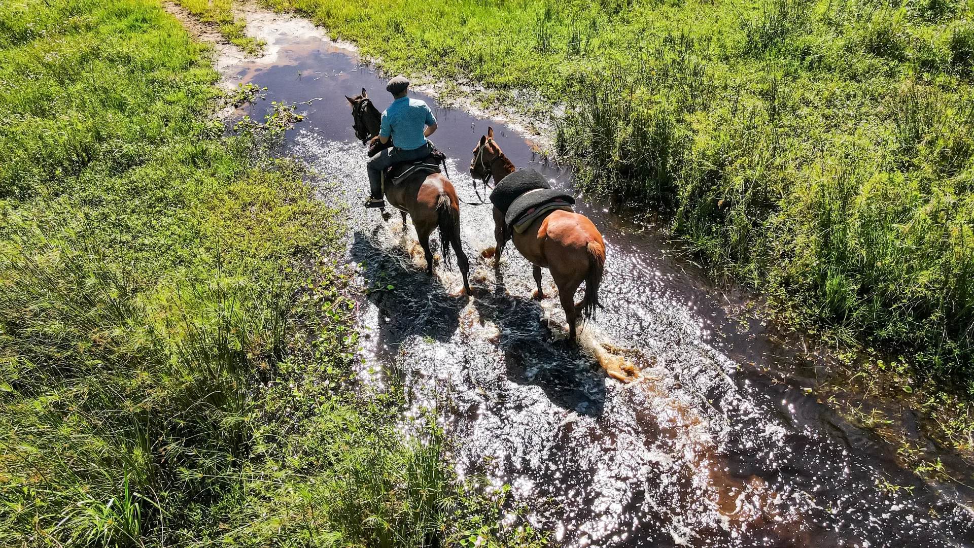 Horseback riding to the Refugio