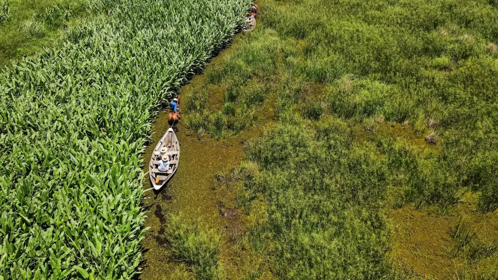Canoa tirada a caballo - Esteros del ibera