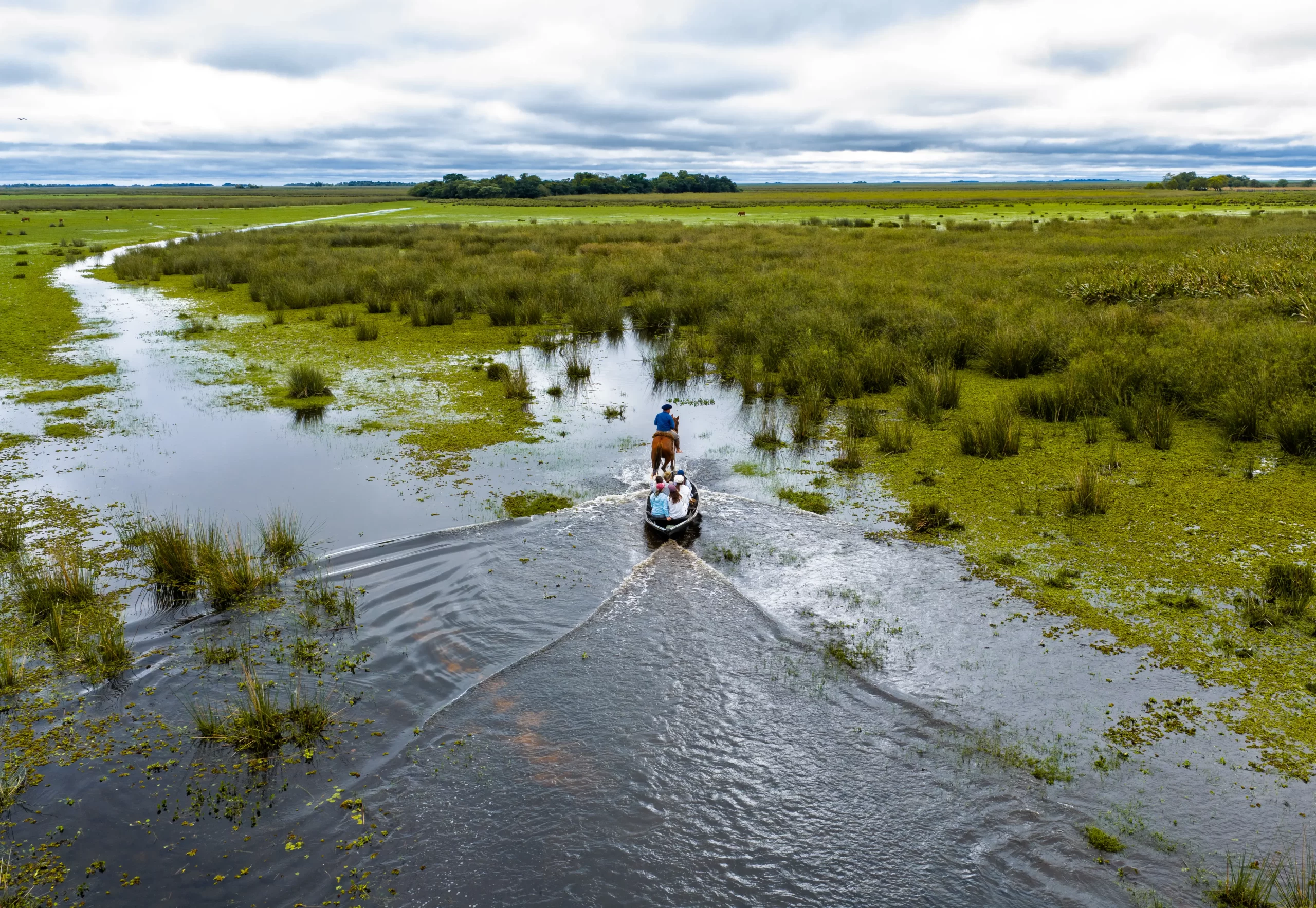 Canoa trineo tirada por un caballo en el arroyo Carambola, Portal Carambola — actividad exclusiva y ancestral de los baqueanos del Parque Nacional Iberá, Corrientes