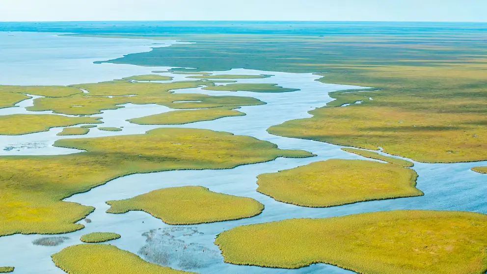 Embalsados y laguna en el Portal Carambola, Gran Parque Iberá, Corrientes