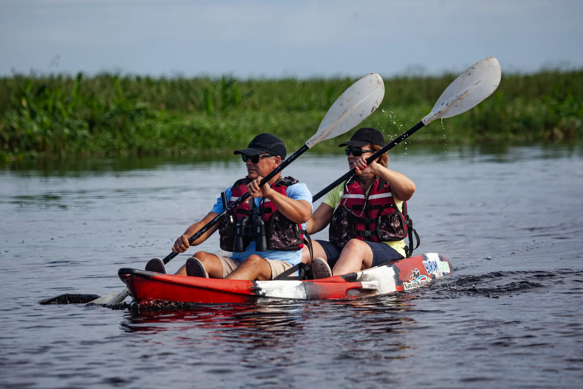 Kayak por los Esteros del Ibera