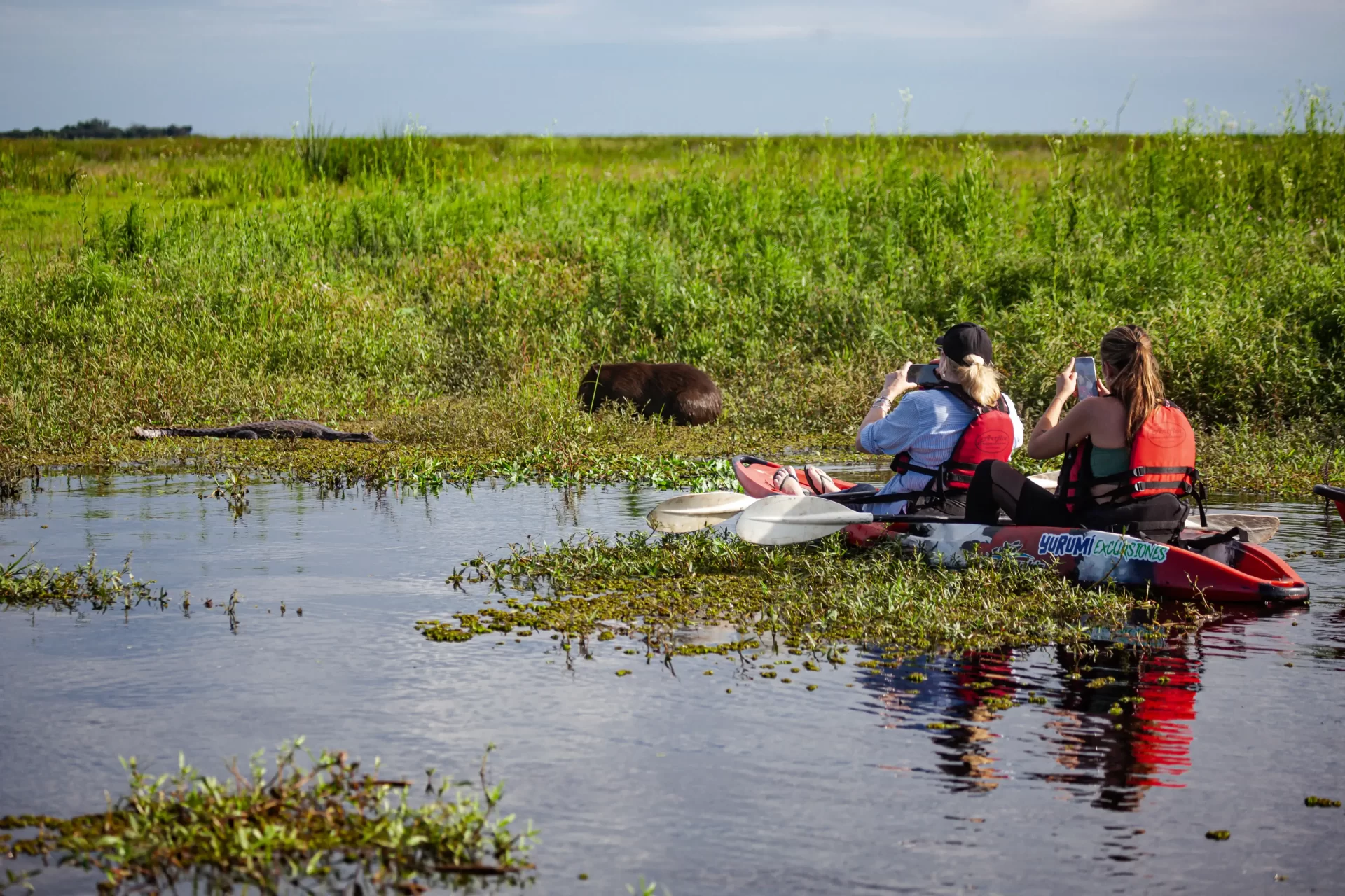 kayaking in the esteros del ibera