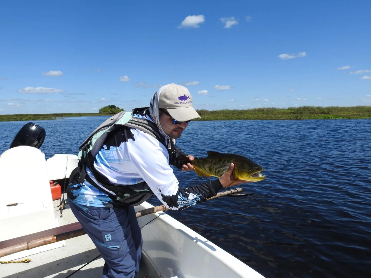 Dorado capturado en los Esteros del Iberá – pesca con devolución, Parque Nacional Iberá