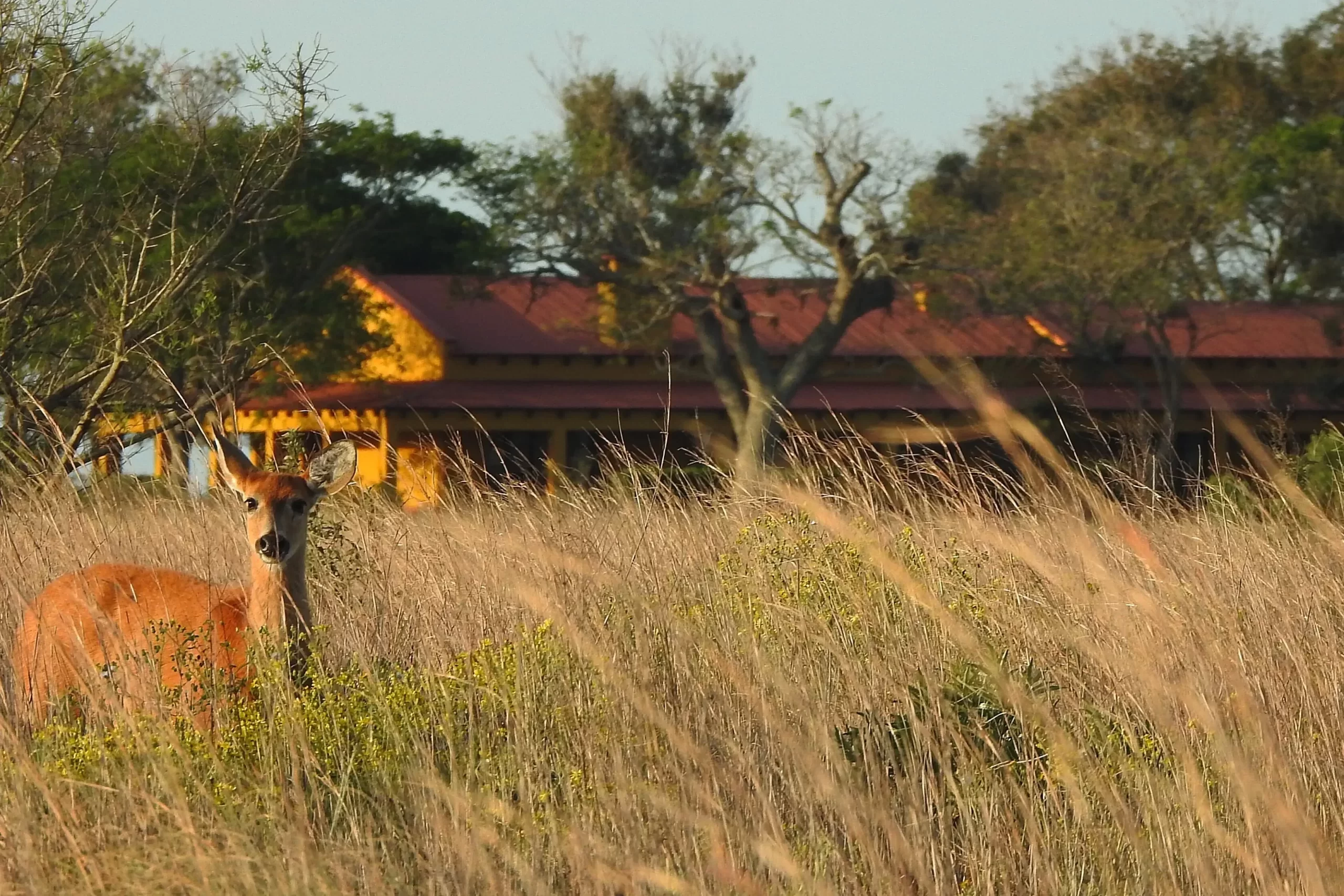 Parque Nacional Iberá