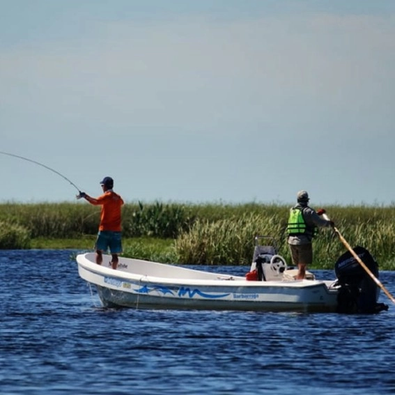 Jornada de pesca de dorado en los Esteros del Iberá – El Tránsito Lodge