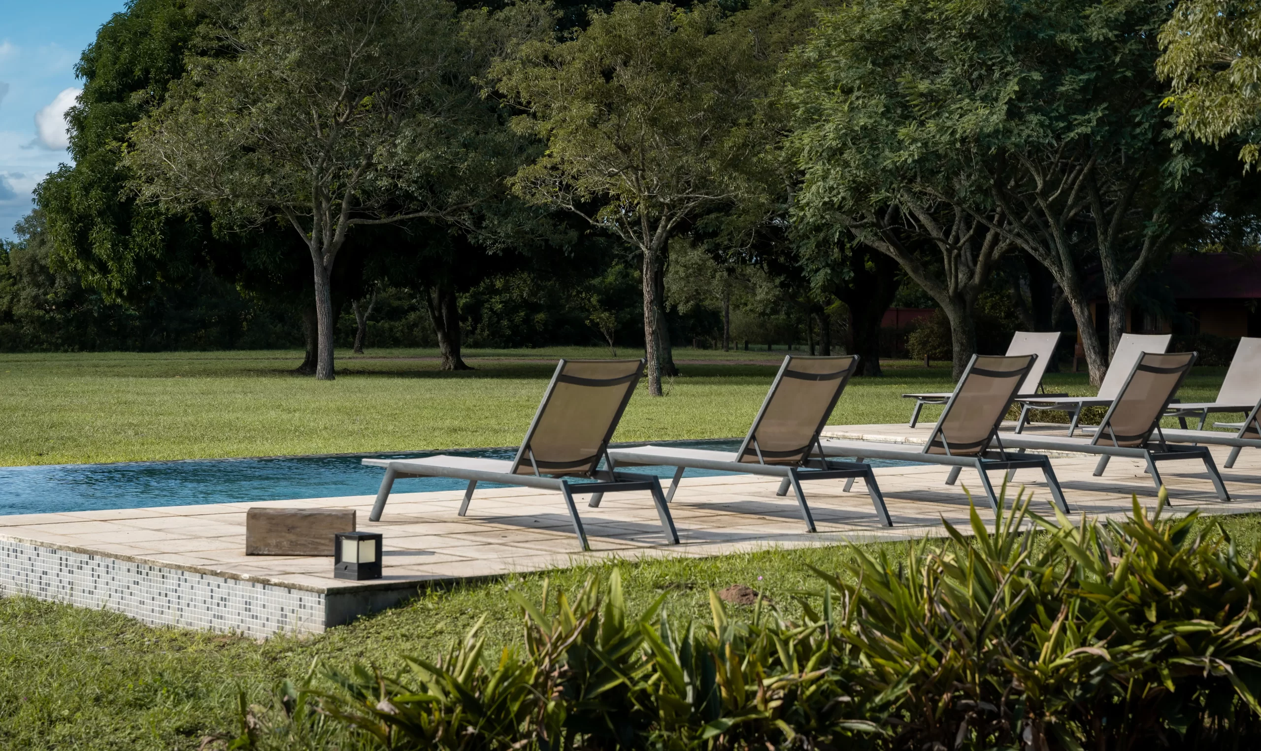 Piscina El Tránsito Lodge Iberá con carpinchos silvestres en el Parque Nacional